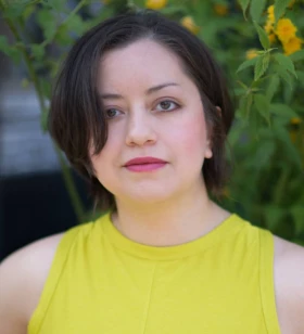 Digital Marketing Consultant