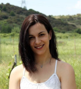 Marketing Consultant