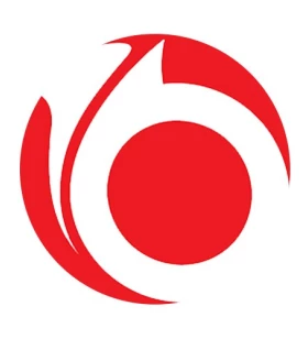 Donut Boxes Wholesale