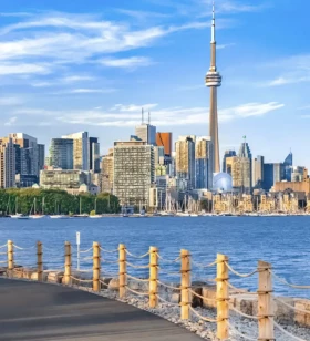 Founder, Creative Director