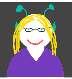 Senior Developer