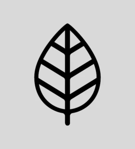 Chief Revenue & Marketing Officer