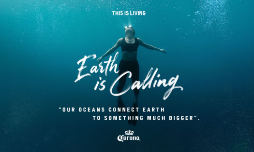 A diver in the ocean