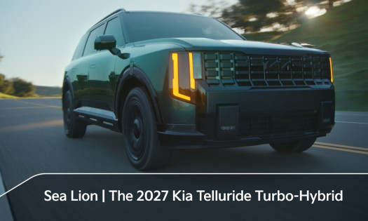 Two sea lions by the beach