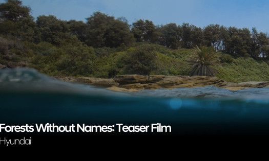 A scenic photograph of the sea and the shore