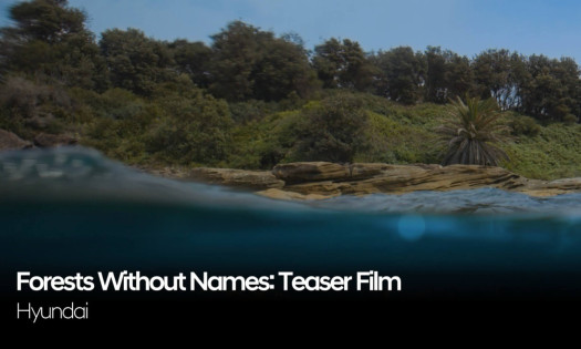 A scenic photograph of the sea and the shore