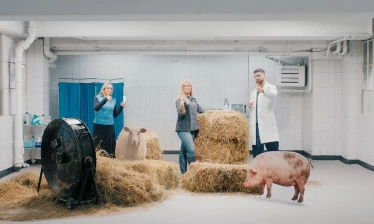 Scientists and a pig inside a lab