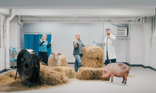 Scientists and a pig inside a lab