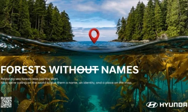 A scenic photograph of the sea and the shore