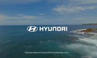 A scenic photograph of the sea and the shore