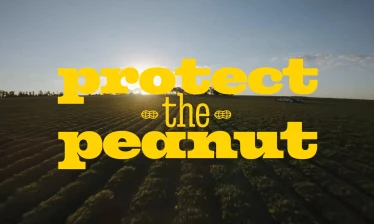 The M&M's Protect the Peanut OBB