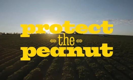 The M&M's Protect the Peanut OBB