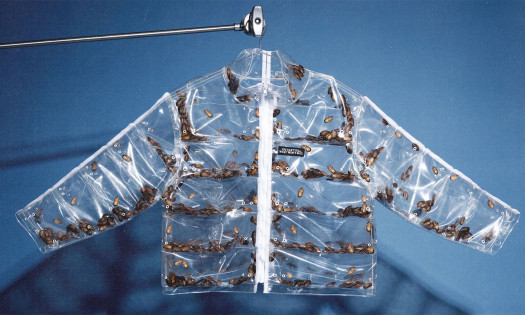 Transparent Roachcoat jacket filled with live cockroaches, created by Uncommon NY in response to the New York Knicks "cockroach" remark, displayed against a blue background.