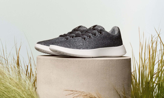 Allbirds Drops Sustainability and Sneakers to Become NewBird AI