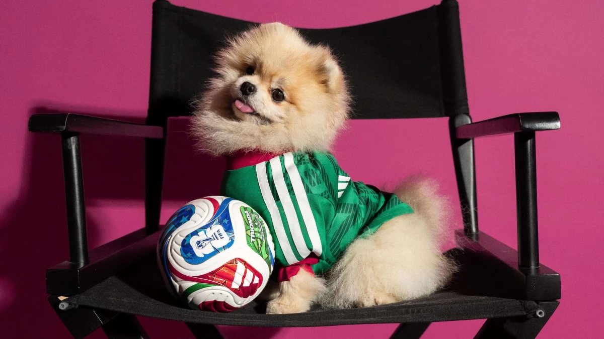 Adidas Dresses Pets in World Cup 2026 Home Kit Jerseys