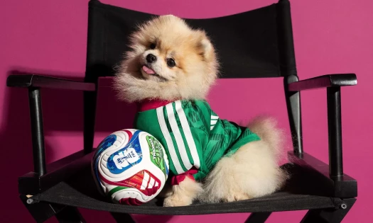 Adidas' World Cup-themed Mexico jersey worn by a Pomeranian with a football on a chair