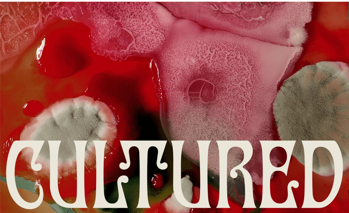 OFFF Barcelona Turns Community Bio Traces Into ‘Cultured’ Identity