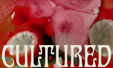 Close-up of organic mold textures in red and pink tones forming abstract patterns, used as part of the OFFF Barcelona "Cultured" campaign visual identity by Uncommon Creative Studio.