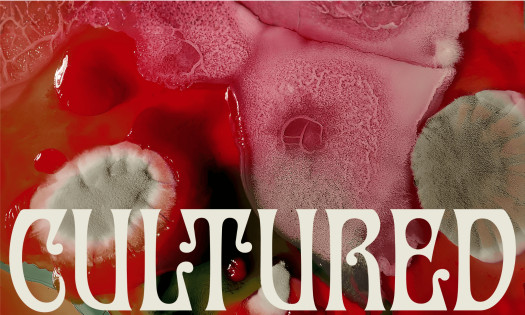 Close-up of organic mold textures in red and pink tones forming abstract patterns, used as part of the OFFF Barcelona "Cultured" campaign visual identity by Uncommon Creative Studio.