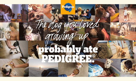 real childhood photos and home videos from pet parents worldwide