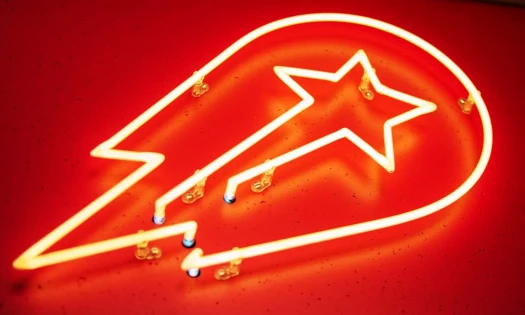 Delivery Hero logo neon sign