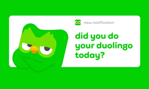 The Duolingo app