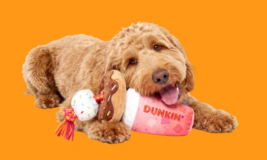 A puppy with a Dunkin' pet toy plushie