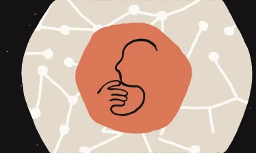 Graphics in Anthropic's brand colors of Claude as a thinking partner