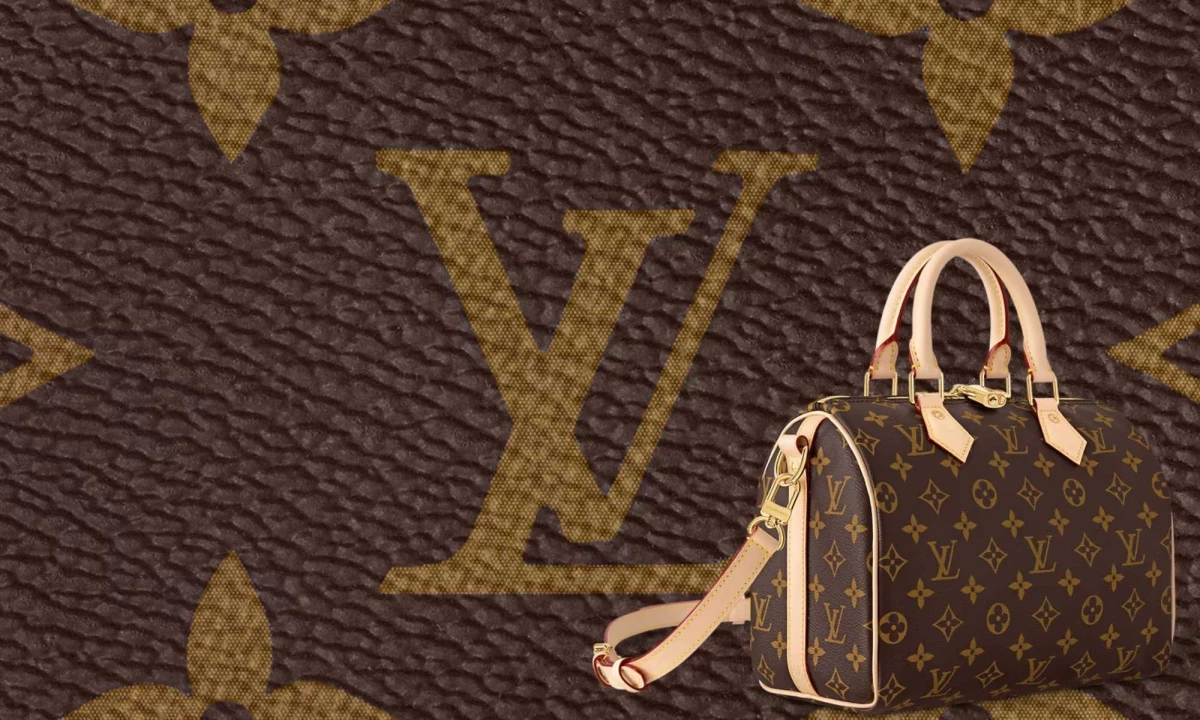 Louis Vuitton Bag
