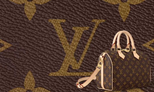 Louis Vuitton Bag and the monogram as its background