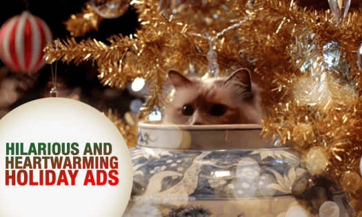 Best Holiday Ads Christmas Tree Kitten