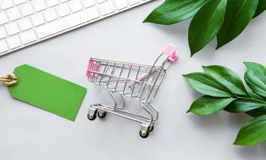 How To Choose an eCommerce Platform: Standing Out Among 2.5 Million Online Retailers in the US