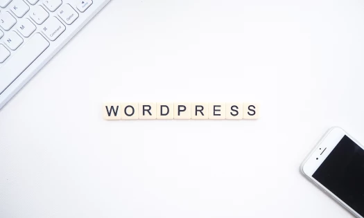 What is WordPress
