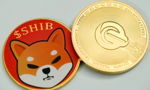 Shiba Inu crypto token from both angles | Source: Unsplash
