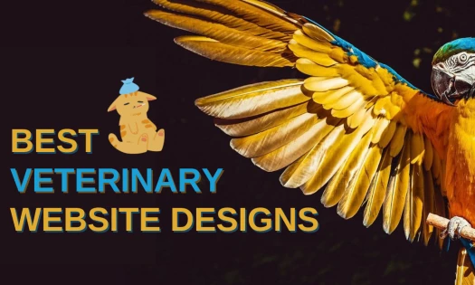 Best Veterinary Website Designs