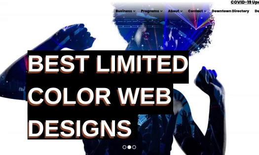 Best Limited-Color Website Designs