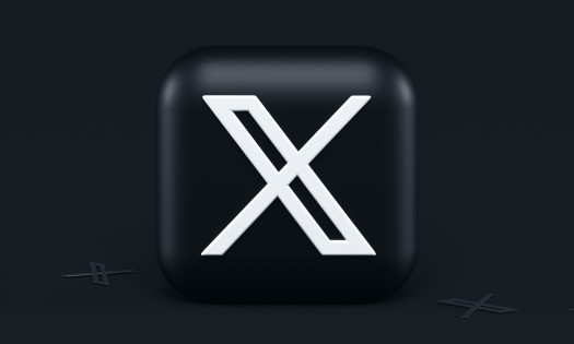 X App Logo