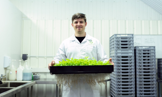 Man in white dress shirt holding green vegetable photo