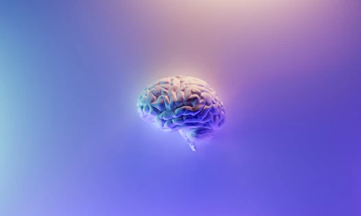 3D Brain