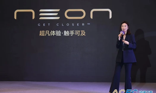 A NEON Conference in 2023