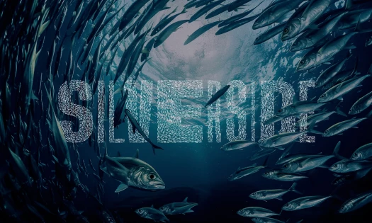 Silverside AI Visuals
