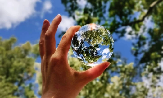 Environmental Consciousness and Sustainability