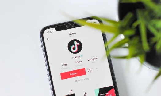 TikTok Mobile App