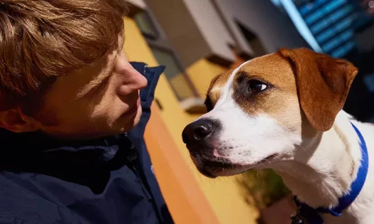 Tommy and Lucy in Short Film "The Bond"