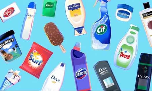 Brands Under Unilever