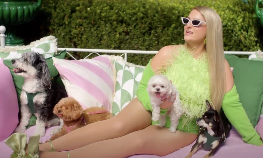 Meghan Trainor and Her Four Pups in 'I'm a Dog Mom' Music Video