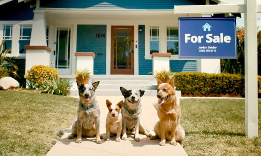 Zillow's 'A Moving Commercial'