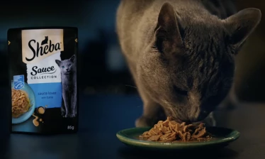 Cats Say 'All I Want Is Sheba' in New Spots