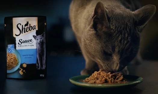 'A Cat Wants Sheba' Campaign