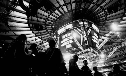 UFC x ESPN 'Art of Combat'